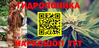 стафф Кинель