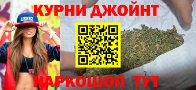 ешки Кингисепп