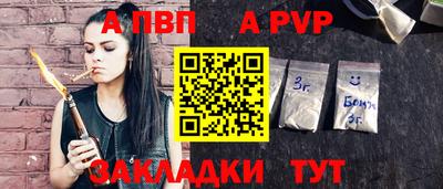 ешки Кингисепп
