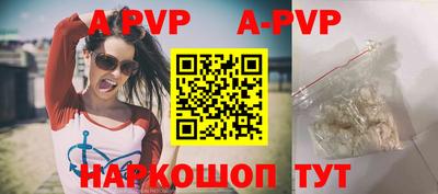 ешки Кингисепп