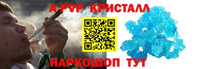 ешки Кингисепп