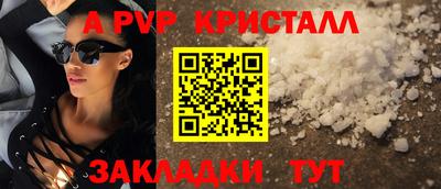 ешки Кингисепп